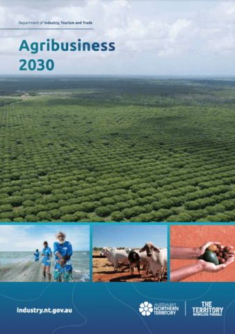 Report cover