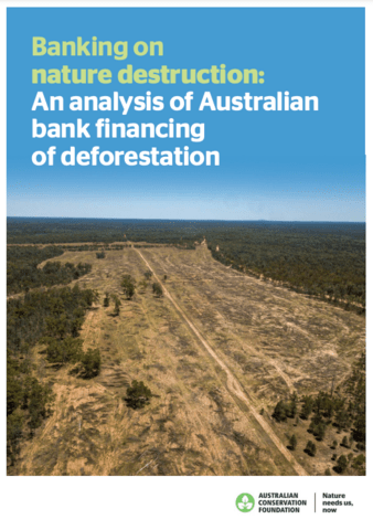 Report cover