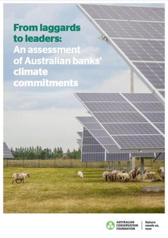 Report cover