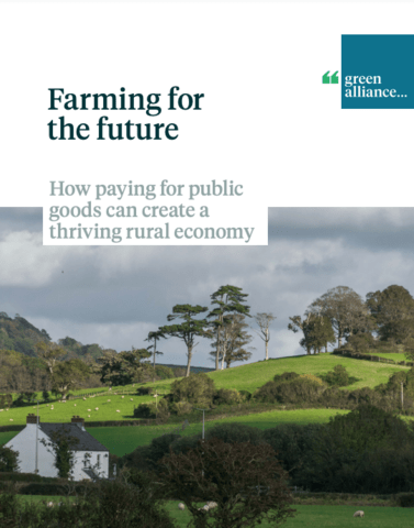 Report cover