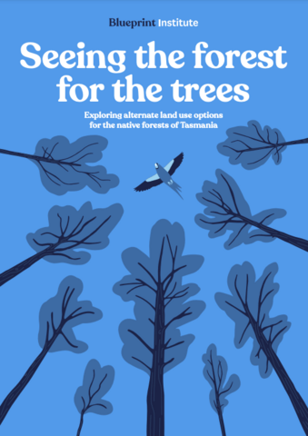 Report cover