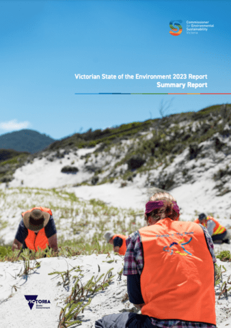 Report cover