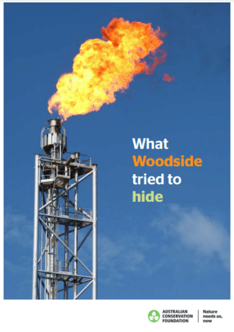 Report cover