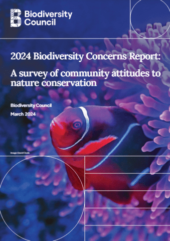 Report cover