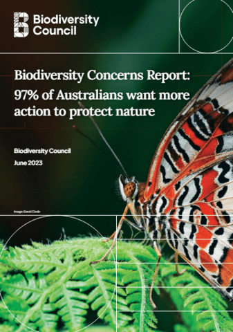 Report cover
