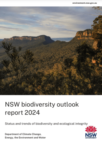 Report cover