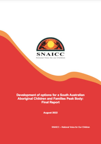 Report cover