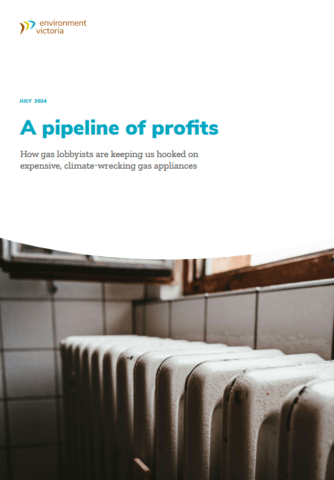 Report cover