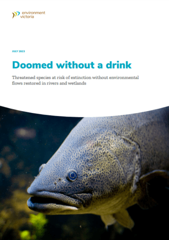 Report cover