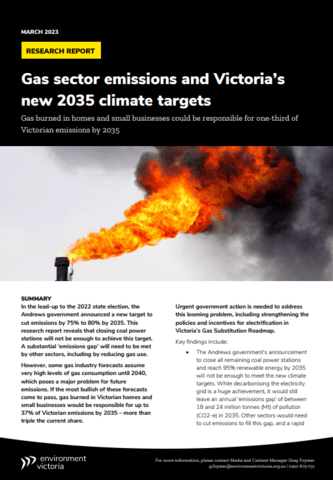 Report cover