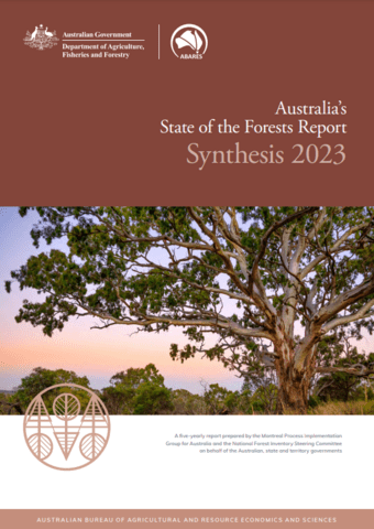 Report cover